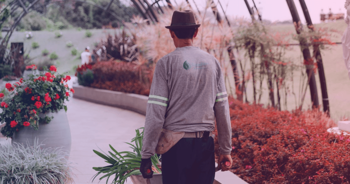 Gardener planting flowers in prepared garden bed