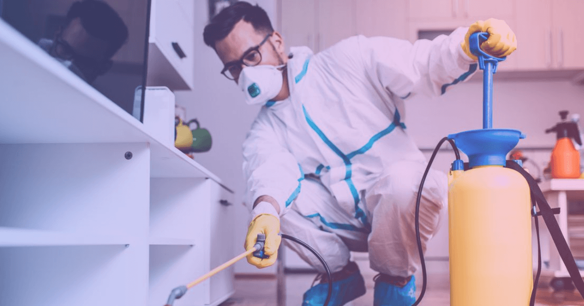 Pest control technician applying treatment
